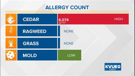 Second highest cedar pollen count of the season recorded in Austin ...