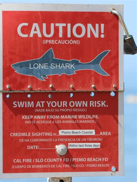 Shark Warning Sign Pismo Beach Photograph by Gary Canant - Fine Art America
