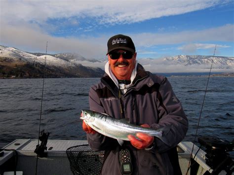 Graybill’s Tips for Catching Lake Chelan Kokanee | The Outdoor Line Blog