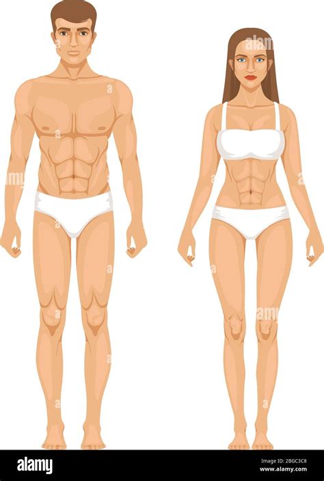 Model of sporty man and woman standing front view. Different body parts ...