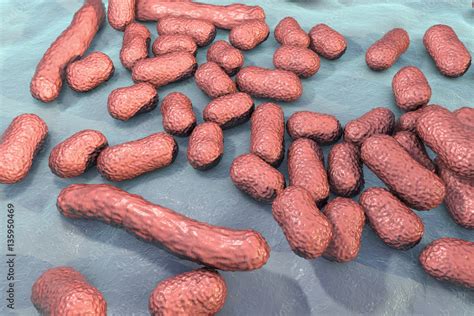 Bacterium Acinetobacter baumannii, multidrug resistant nosocomial bacterium. 3D illustration ...