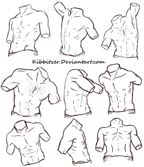 Male Torso Reference Sheet 2 by Kibbitzer on DeviantArt