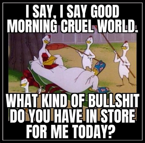 Pin by Randy Burchett on Foghorn leghorn quotes | Funny tshirts, Funny ...