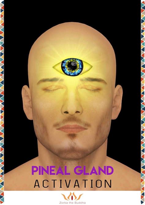 PINEAL GLAND ACTIVATION - Zorba The Buddha