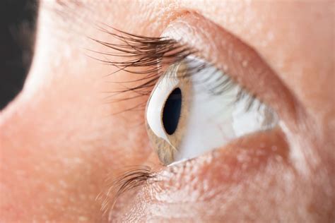 World-first consortium to fight corneal blindness launches in Sydney - Insight