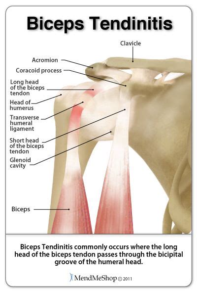 Hand Therapy, Massage Therapy, Physical Therapy, Occupational Therapy ...