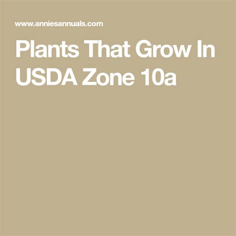 Plants That Grow In USDA Zone 10a in 2020 | Usda zones, Usda, Plants