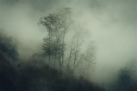 Fog on Behance