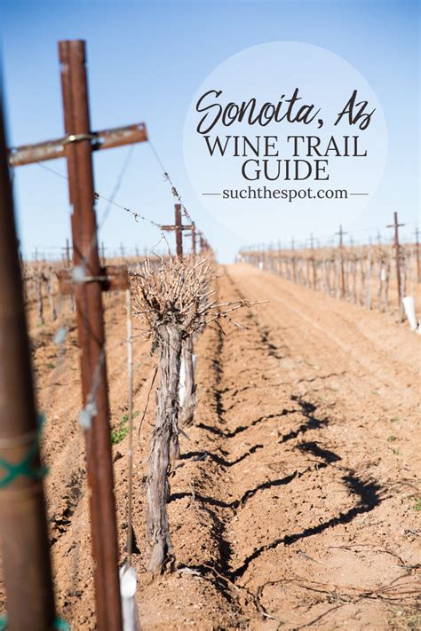 Sonoita Wineries Guide | Best Tasting Rooms to Visit on the Wine Trail