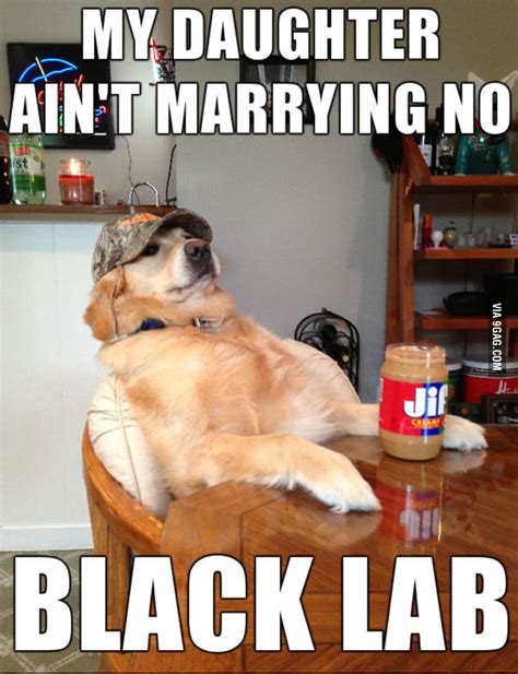 Black labs matter - 9GAG