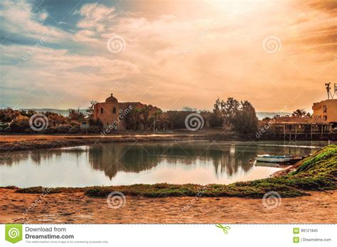 Gouna in Egypt stock photo. Image of hurghada, palm, travel - 99121840