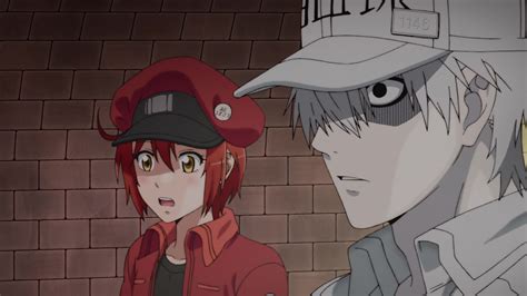 21++ White Blood Cell Anime Wallpaper - Anime Top Wallpaper