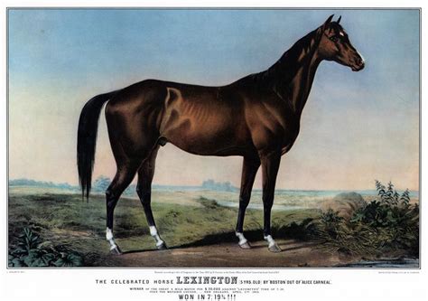 The Glorious Horse, Lexington | The Lost Trotting Parks Heritage Center