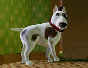 In toy story Sids dog looks like shit : r/shittymoviedetails