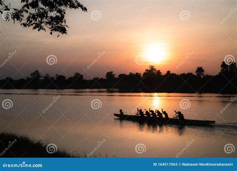 Arts Warm Sunset and Grassland Tree Silhouette Stock Image - Image of ...