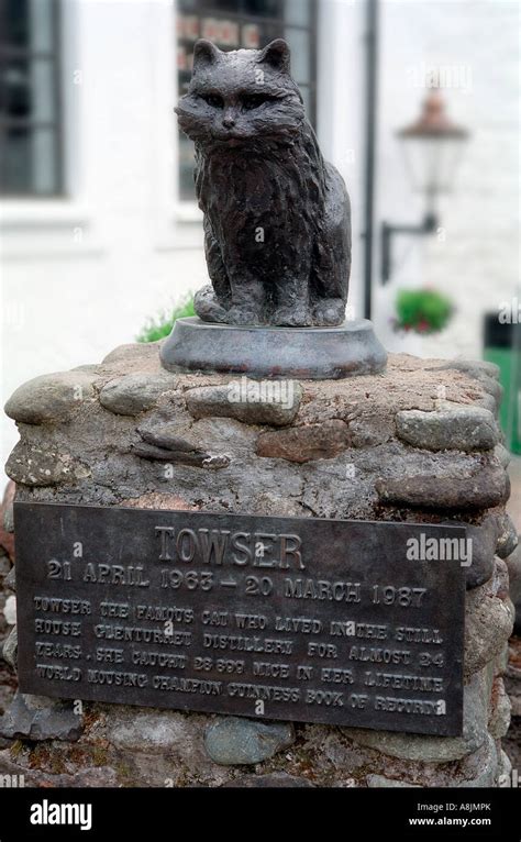 Towser the cat statue at Glenturret Distillery scotland uk gb Stock ...