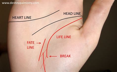 Broken Life Line Meaning in Palm Reading - Destiny Palmistry