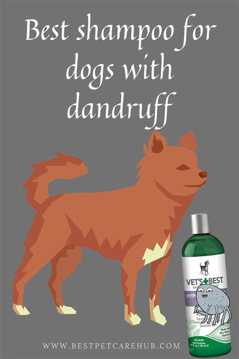 Best shampoo for dogs with dandruff | Best dog shampoo, Dog dry skin, Dog shampoo