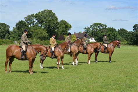 Midland Irish Draught Horse Show 2016 | Event Photography in ...