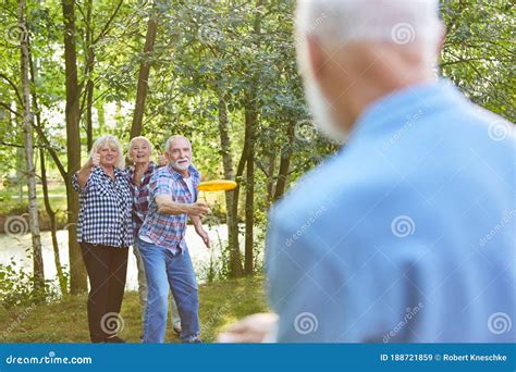 Group of Seniors Playing Frisbee in the Park Stock Image - Image of healthy, leisure: 188721859