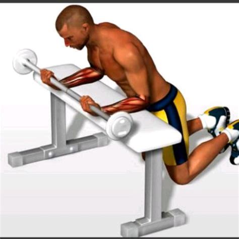 Barbell Wrist Curl by Gaurav Kumar - Exercise How-to - Skimble