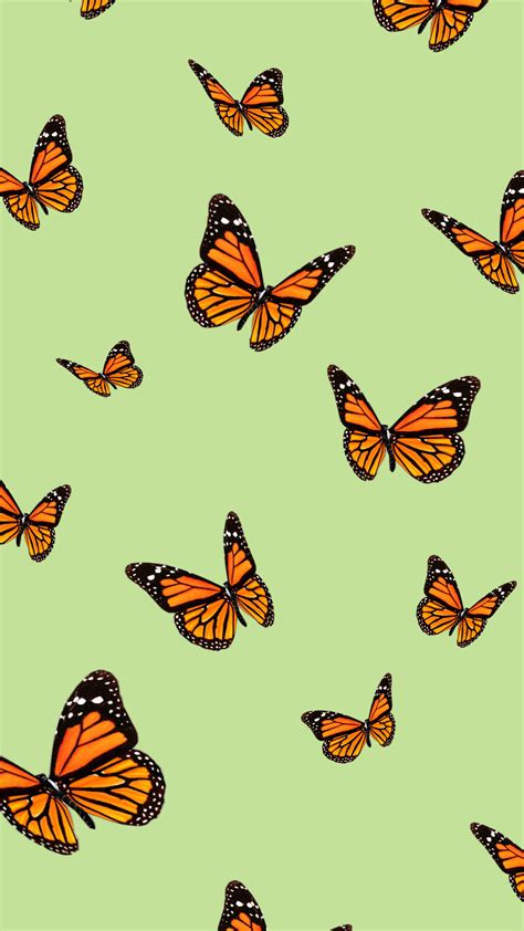Aesthetic Butterfly Wallpapers - Wallpaper Cave 584