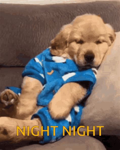 Good Night Night Night GIF - GoodNight NightNight Yawn - Discover & Share GIFs