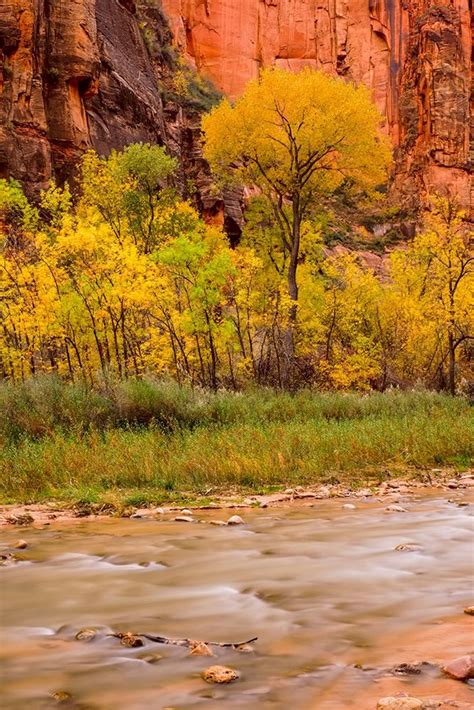 Somerset House - Images. ZION NATIONAL PARK-FALL COLORS