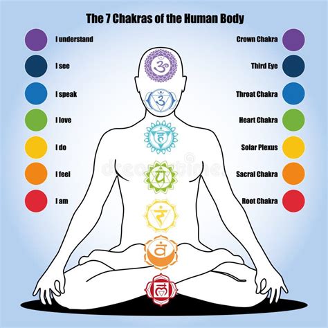 7 Chakras Del Cuerpo Humano Ilustración del Vector - Ilustración de cultura, loto: 60448865