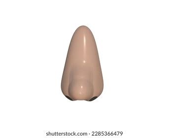 Front View Realistic 3d Human Nose Stock Illustration 2285366479 ...