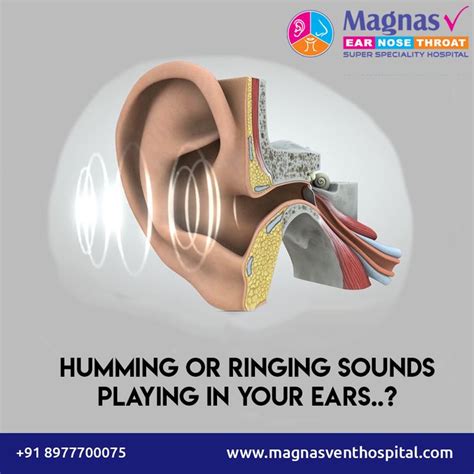 Humming Or Ringing Sounds Playing In Your Ears..? | Treatment for tinnitus, Ear sound, Middle ear