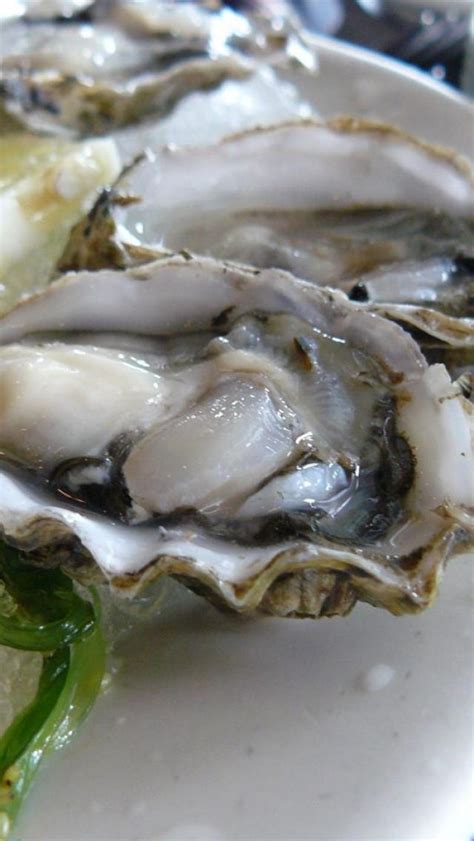 167 best images about OYSTERS RECIPES on Pinterest