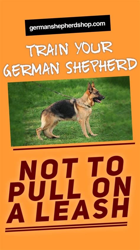 Train Your German Shepherd Not To Pull On Leash | German shepherd puppies training, Shepherd ...