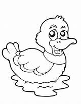 Baby Duck Coloring Pages  Home sketch template