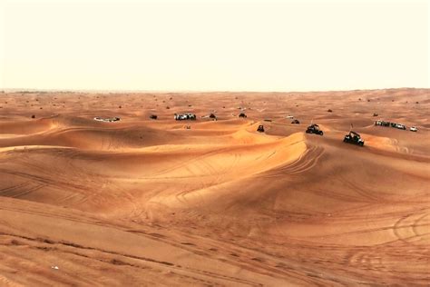 How to Pick the Best Abu Dhabi Desert Safari in 2024 | Abu Dhabi Travel ...