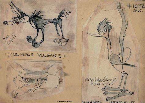 Chuck Jones' original character designs for the Road Runner & Coyote ...