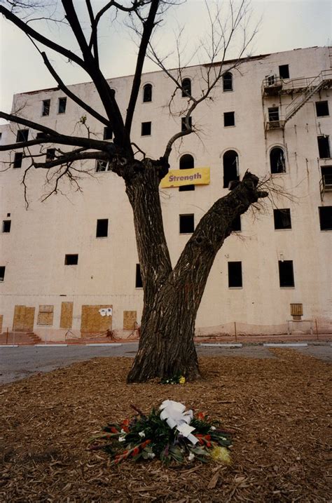 The Survivor Tree – Today – Oklahoma City National Memorial & Museum