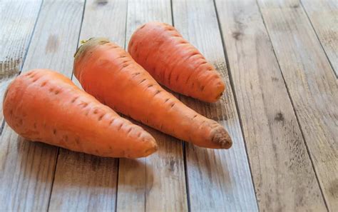 All About the Oxheart Carrot - Minneopa Orchards