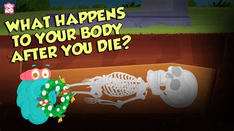 What Happens To Your Body After You Die? | Human Biology | The Dr ...