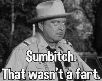 10+ Best Buford t justice quotes images in 2020 | buford t justice quotes, smokey and the bandit ...