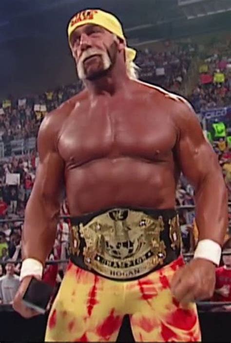 Hulk Hogan Undisputed Champion