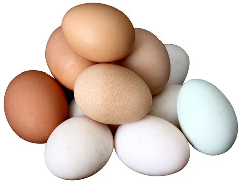 Eggs PNG Image - PurePNG | Free transparent CC0 PNG Image Library