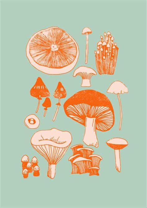 Mushroom Aesthetic Wallpapers - Wallpaper Cave