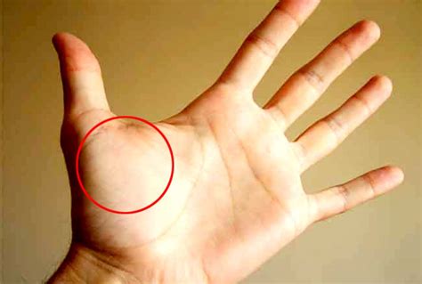 Mount Venus on your palm speaks a lot about you, Know more | NewsTrack ...