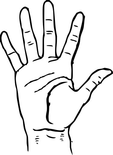 SVG > mano palma símbolo - Imagen e icono gratis de SVG. | SVG Silh