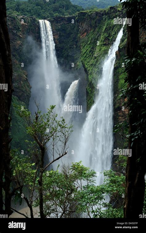 jog falls,karnataka,india. jog falls is the highest waterfall in india ...