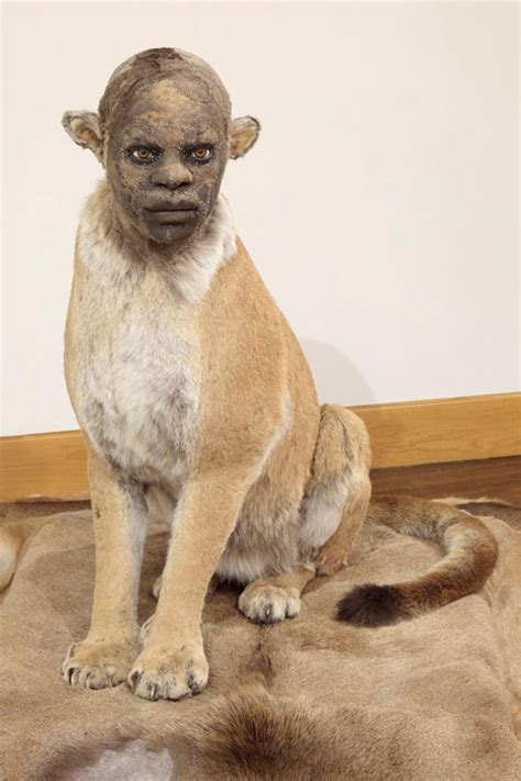 Juxtapoz Magazine - Kate Clark Synthesizes human faces with Taxidermied ...