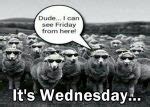 112 Funny Wednesday Memes to Get You Through Hump Day – Tiny Positive