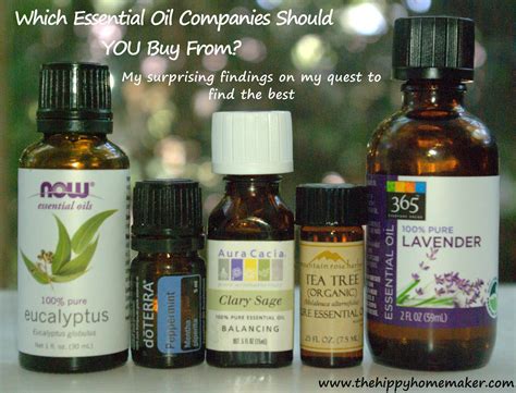 essential oils3 | Essential oil companies, Best essential oils ...