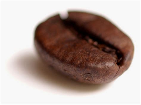 Coffee Bean Transparent - 1 Coffee Beans Png, Png Download - kindpng